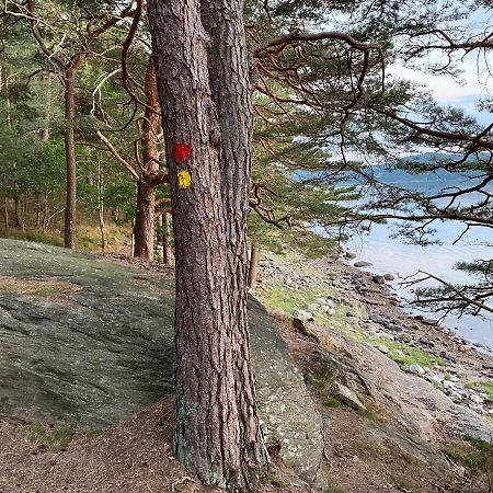 Cottage - Majviken Ljungskile Esterno foto